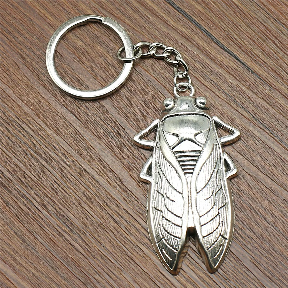 Cicada
