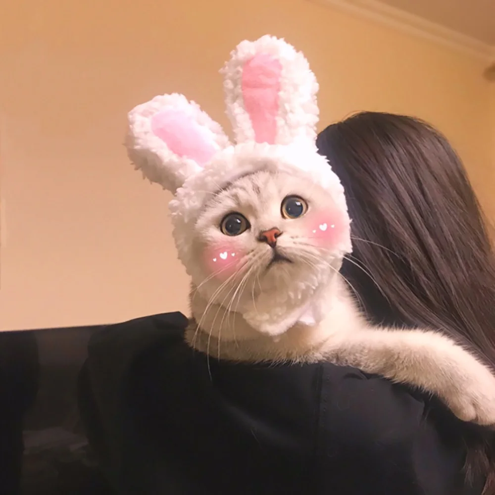Забавная Кепка для собак и кошек костюм теплая шапка кролик аксессуары