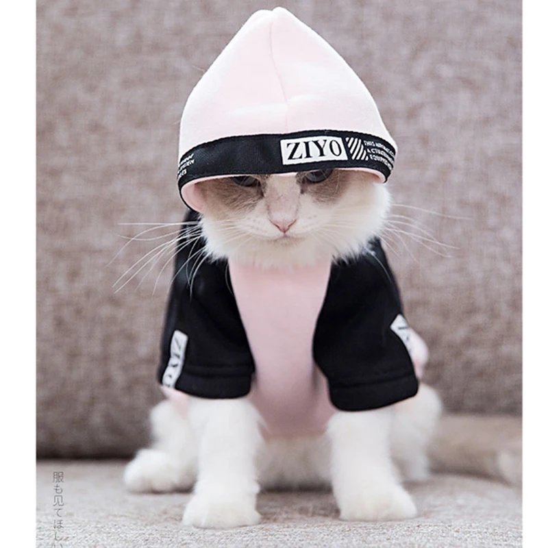 Зимняя одежда для кошек Одежда собак котята костюм котенка Ropa Para Gatos De Navidad Милая
