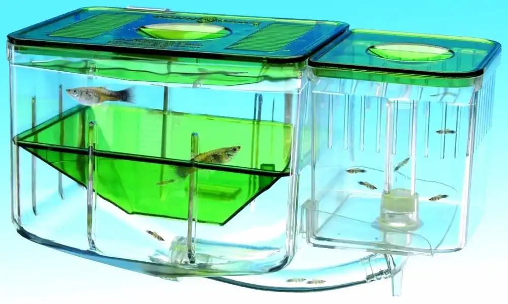 ハッチグッピーベビー魚個別ボックスダブルセット水族館小魚分離ボックス魚飼育箱 Fish Breeding Box Breeding Boxfish Breeding Aliexpress