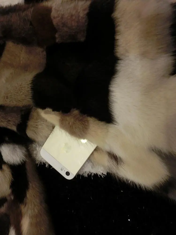 (13)