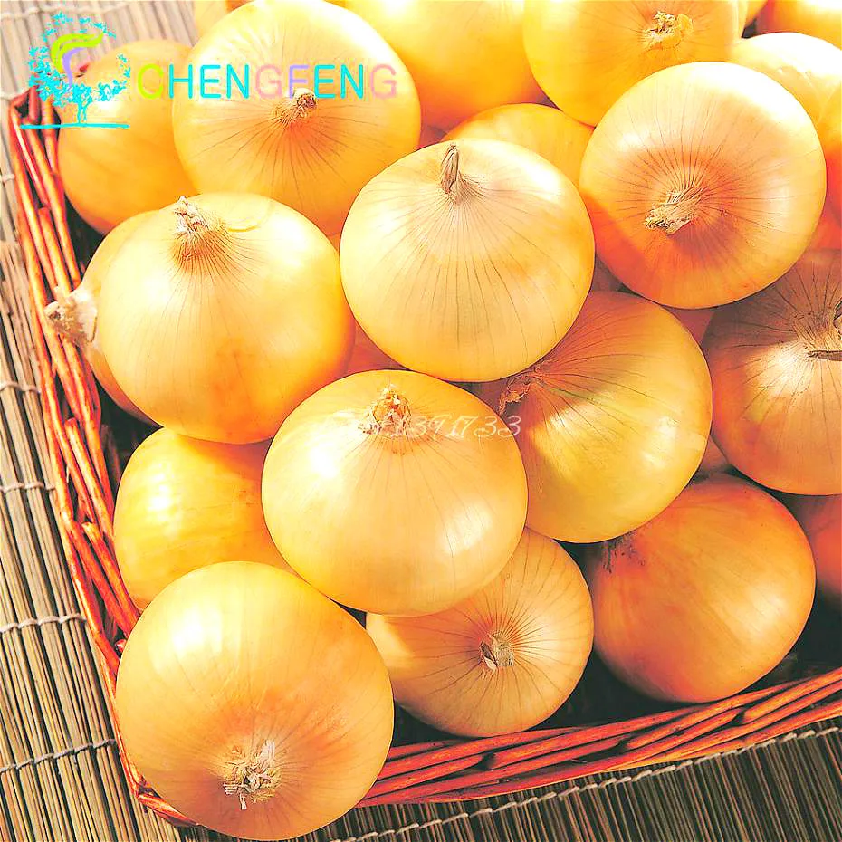 New Delicious 100pcs Giant Onion Seeds Russian Heirloom Vegetables Garden Supplies For Fun Interest DIY