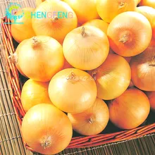 New Delicious 100pcs Giant Onion plants Russian Heirloom Vegetables Garden Supplies For Fun Interest DIY