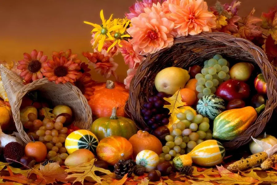 Autumn Harvest Vegetables Fruits V Food Poster Fabr Silk Poster Print