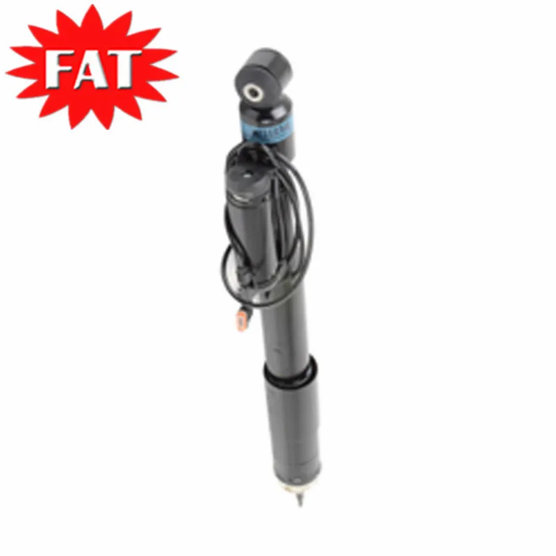 SMBC-800.2
