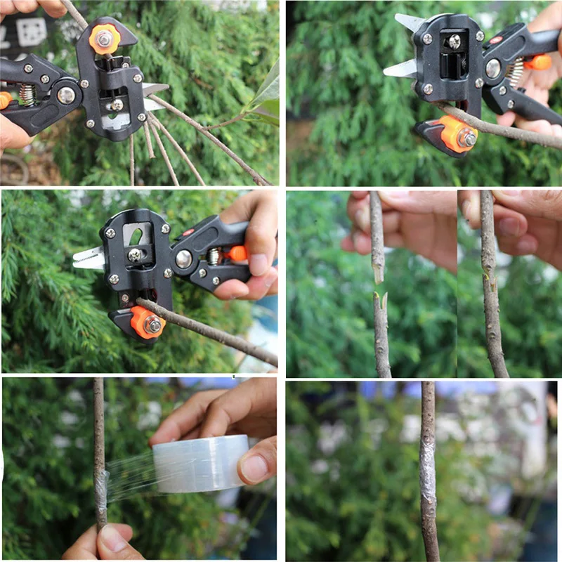Garden Farming Pruning Shears Scissor Fruit Tree Grafting Gardening Tools Vaccination Secateurs Pruning Cutting Shears Tool Garden Farming Pruning Shears Scissor Fruit Tree Grafting Gardening Tools Vaccination Secateurs Pruning Cutting Shears Tool