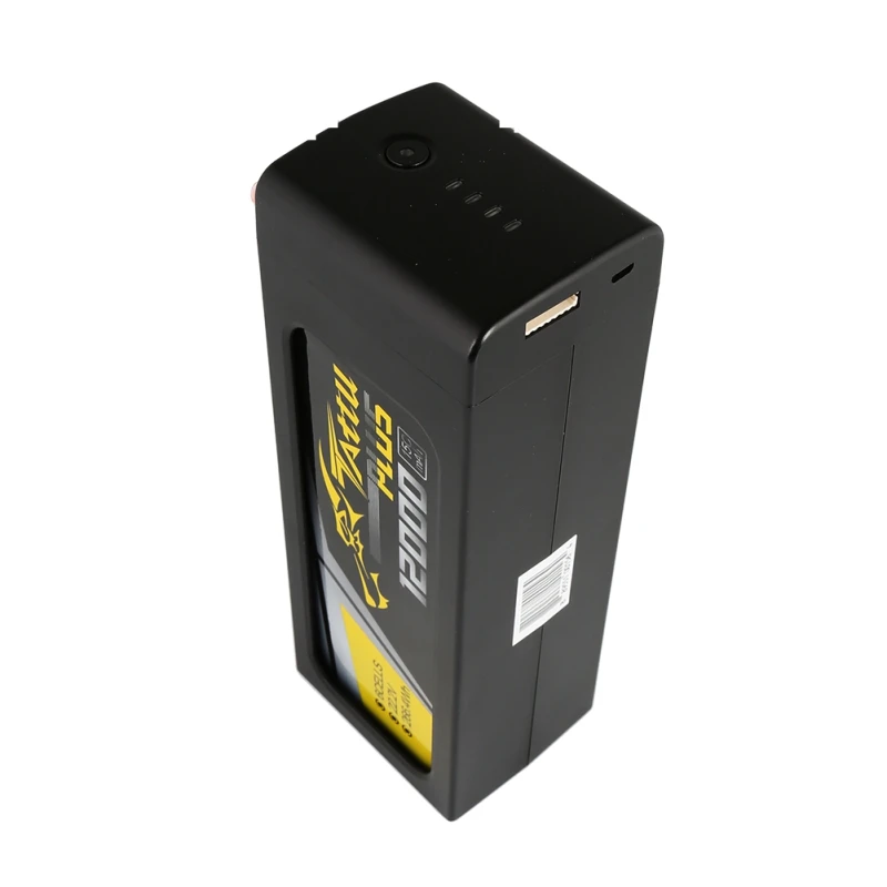 lipo battery (6)