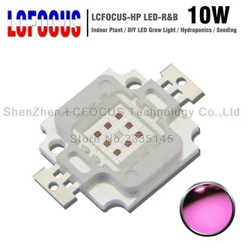 

10W 20W 30W 50W 100W LED Grow Light Lamp COB Diode Beads Deep Red 660nm with Royal Blue 440nm for Hydroponice Greenhouse Tent