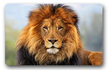 custom doormat-authentical lion head close up wild animl design