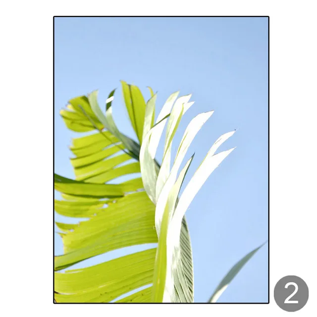 Nordic-Colorful-Botanical-Canvas-Painting-Banana-Leaf-Tropical-Wall-Art-Posters-and-Prints-Minimalist-Bedroom-Dining.jpg_640x640 (1)