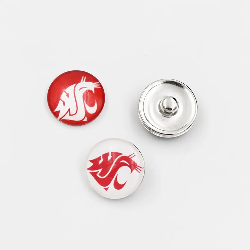 Washington State Cougars NCAA