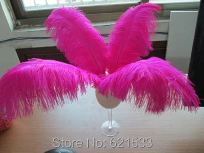 FO110 (5)