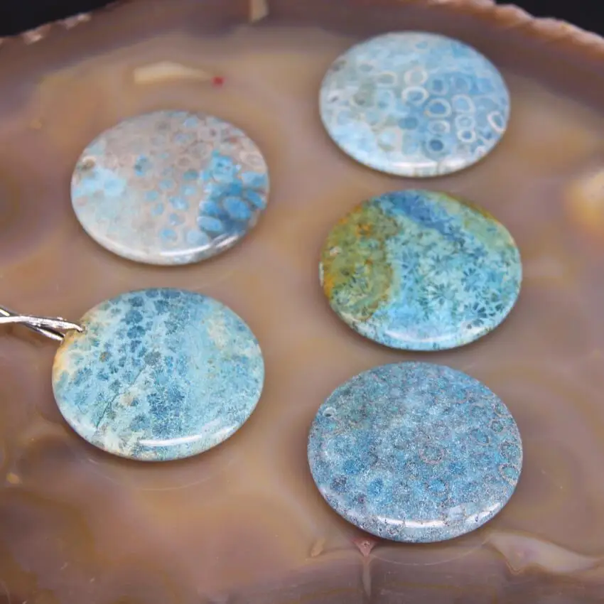 

5pcs Blue Coral Jades Jaspers Drilled Coin Pendant,Natural Chrysanthemum Agates Stone Flat Round Slab Nugget Cabochons Charms