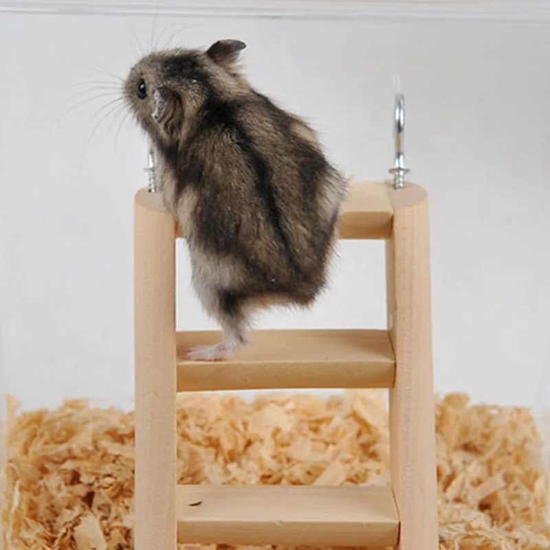 Pet Mouse Rat Mice Exercise Supplies Small Animal Toys Hamster Chew