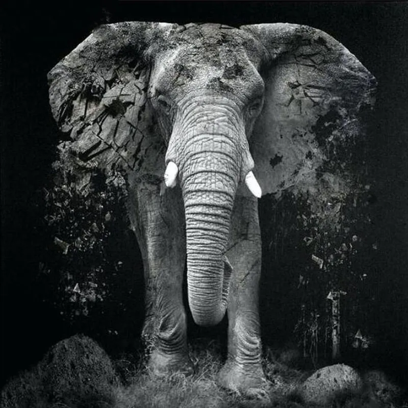 Full Square Drill Diamond Painting Cross Stitch Black Grey Elephant Animal Embroidery Living Room Decor Unique Gift Item | Дом и сад
