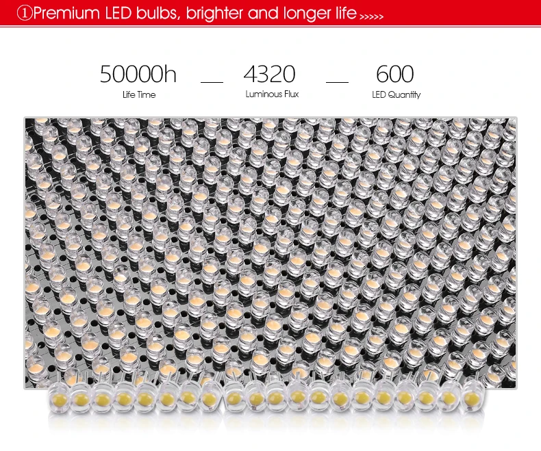 600MB_02