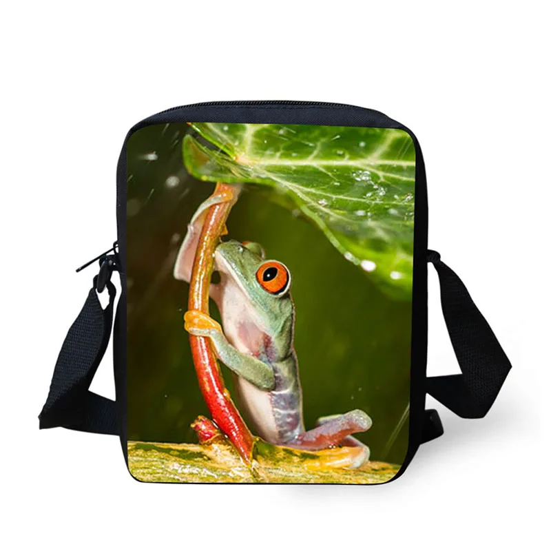 китайская сумка с лягушкой. футболка с принтом лягушки. товары с печатью лягушки. головоломка лягушки. жаба логотип.