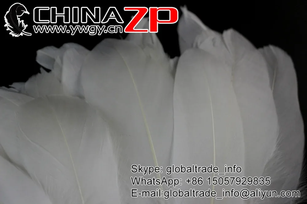 40 White bleach Goose Satinettes Loose Feathers (7)
