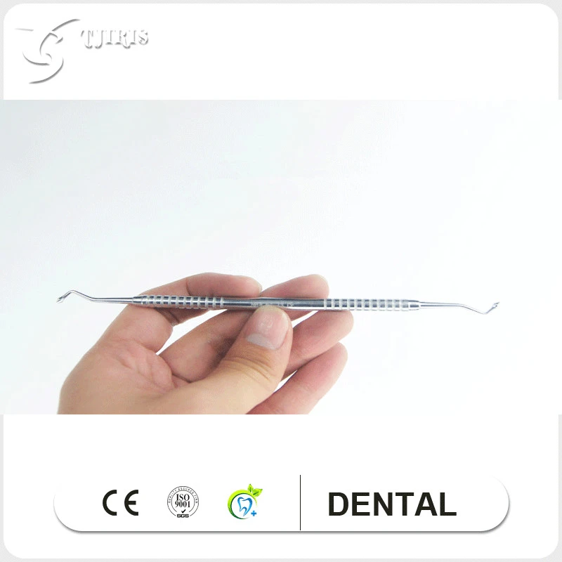 10pcs 1 box burnisher dental surgical tool single end double end aliexpress