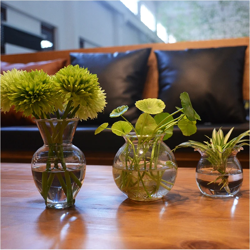 Indoor Plants In Water Vases