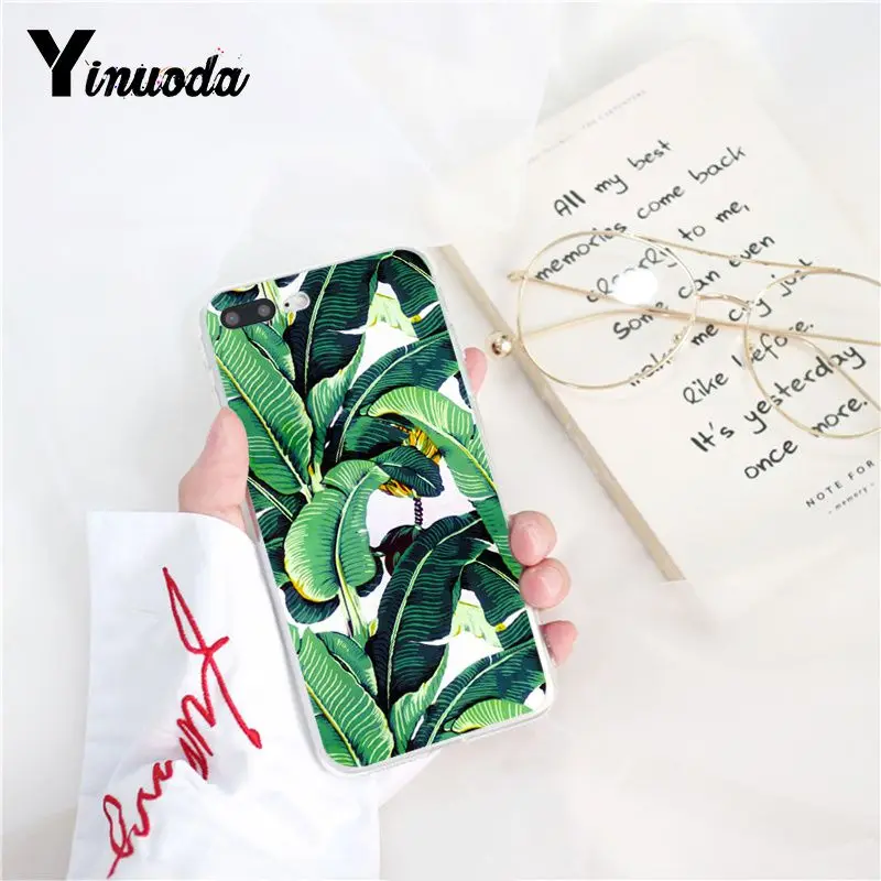 Tropical Plants Cactus Banana Leaves