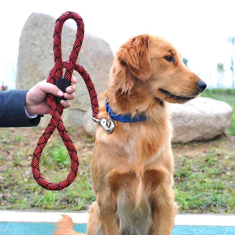 Golden Retriever large dog Leashes dog rope dog chain color randomin