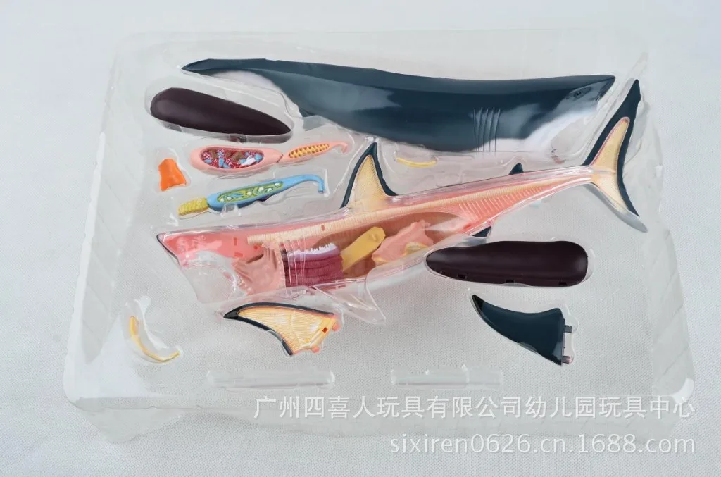 Прозрачный 4D пазл сборка животных модель Акула Анатомия собранная модель с костями и органами 13,5 см* 7 см* 13 см