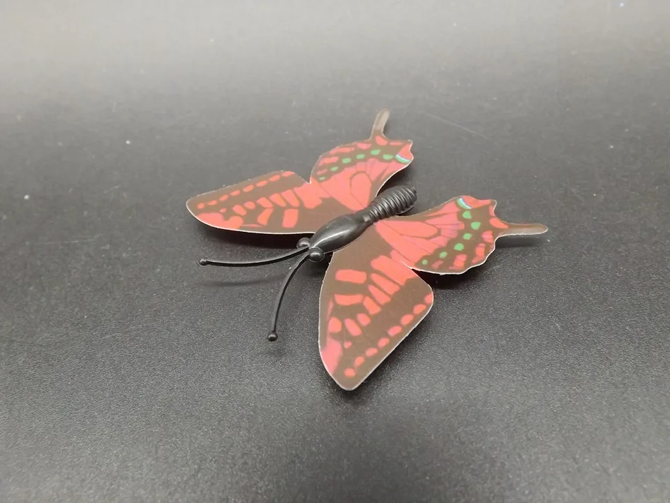 I245-Butterfly (7)