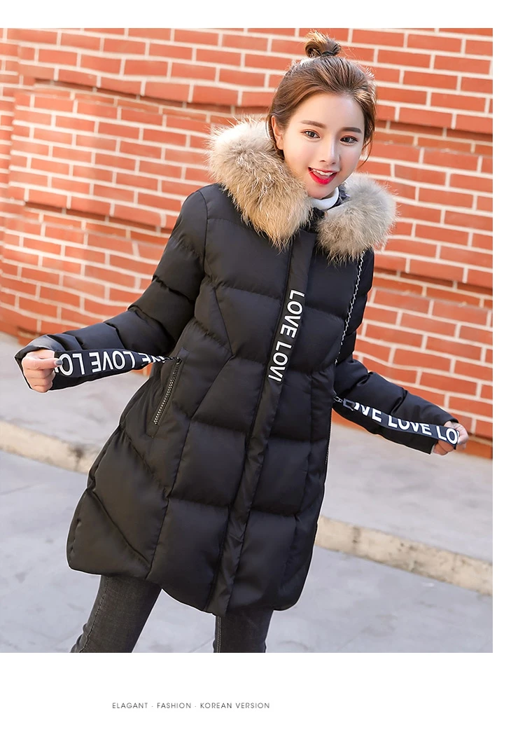 Winter Jacket Women Medium  Long Section Down Cotton Clothing Winter Woman Coats 2018 Big Fur Collar Women's Winter Jacket (27)