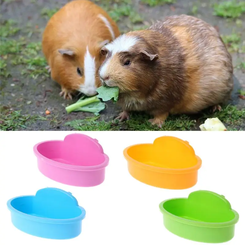 

Bird Hamster Feeder Bowl Small Pet Cage Hanging Drinking Food Feeder Cup Bowls Feeding Bathing Tools for Small Animals C42