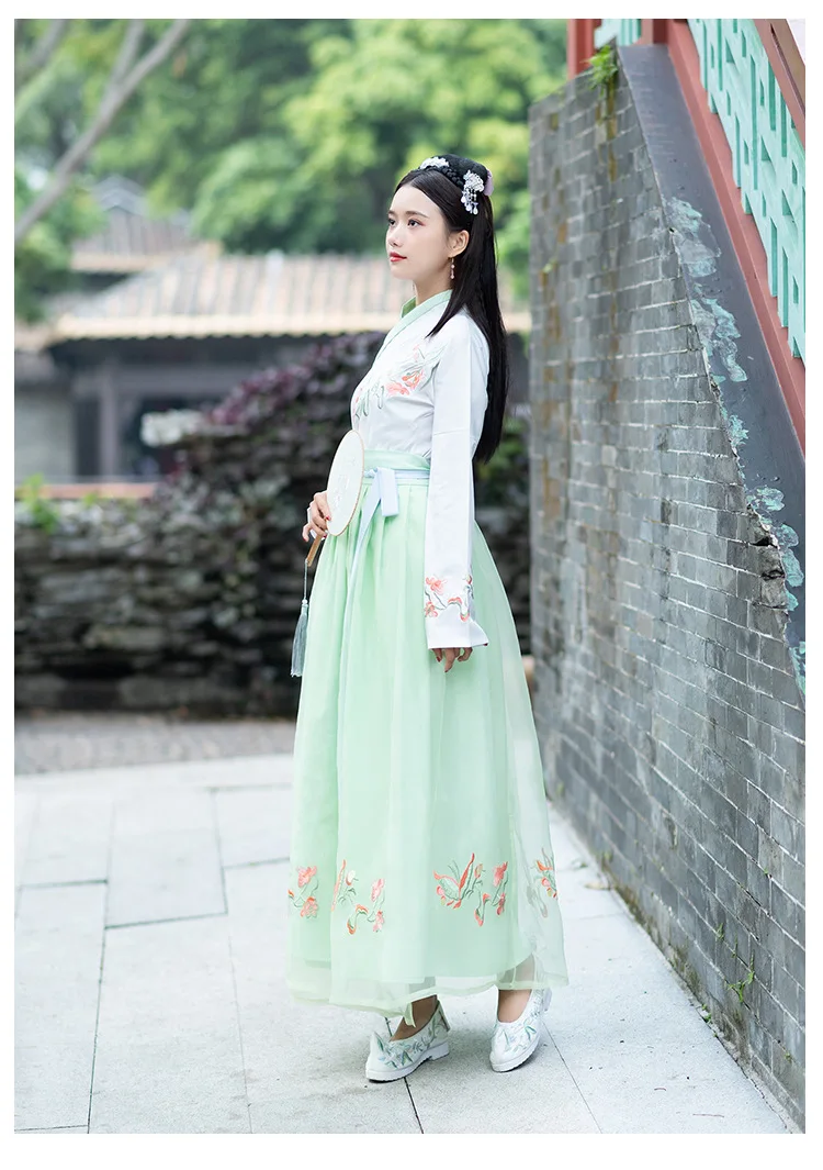 Hanfu китайские танцевальные костюмы Весенний костюм ханьфу Древний китайский костюм hanfu Женская традиционная китайская одежда для женщин