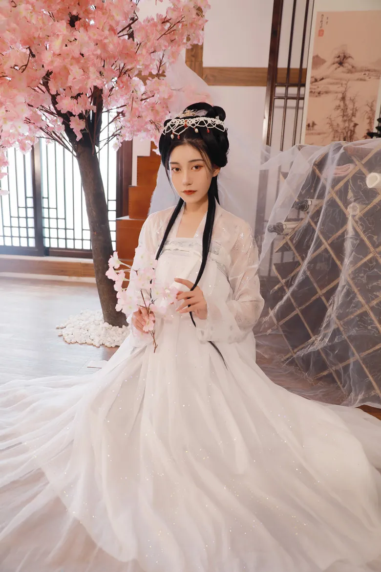 Hanfu женское белое платье феи Косплей Китайский древний костюм Взрослый фестиваль наряды танцевальный костюм для сцены белый Hanfu BL1981