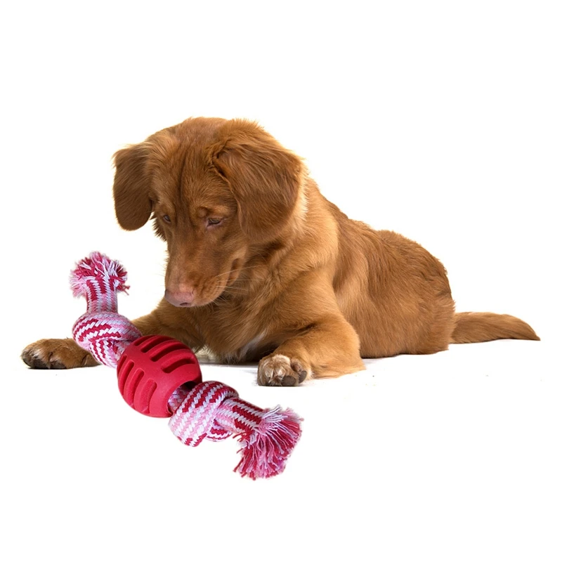 

Pet Interactive Cat Rope Knot Toy Dog Cotton Chew Toy Pet Teeth Cleaning Training Tool for Dog Puppy Molar Toys Ramdom Color 1pc
