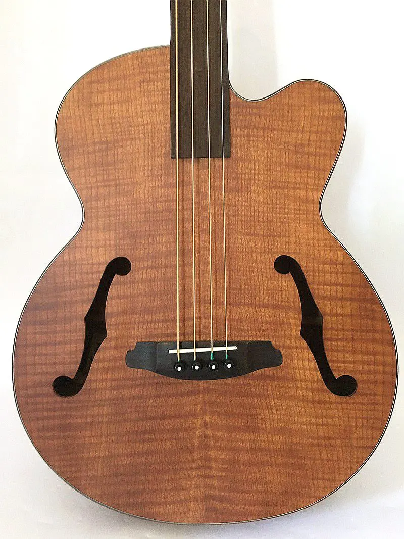 professional fretless electric acoustic bass guitar with turner EQin
