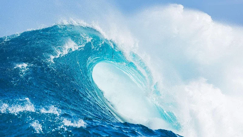 tfl201wave6