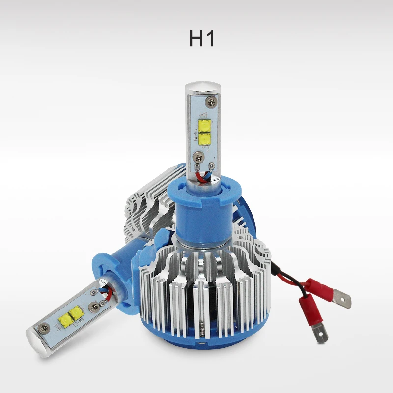H1