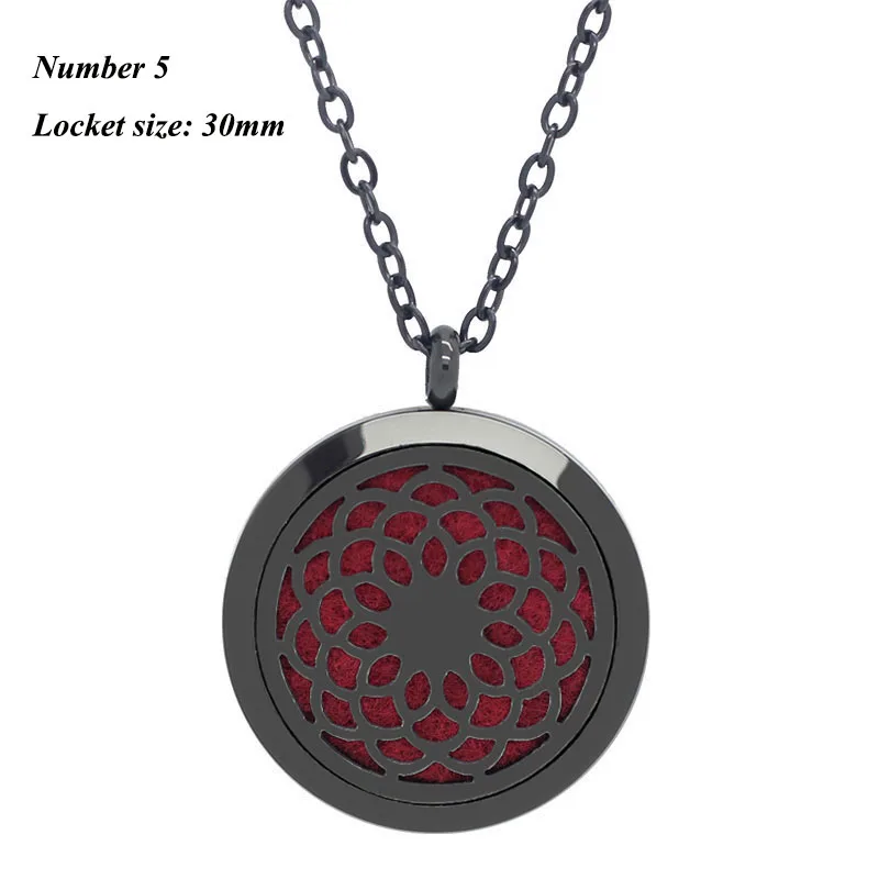 С цепочкой в подарок! Черный 30 мм Магнитный ароматерапия диффузор ожерелье с медальоном 316L из нержавеющей стали для духов кулон - Окраска металла: Number 5
