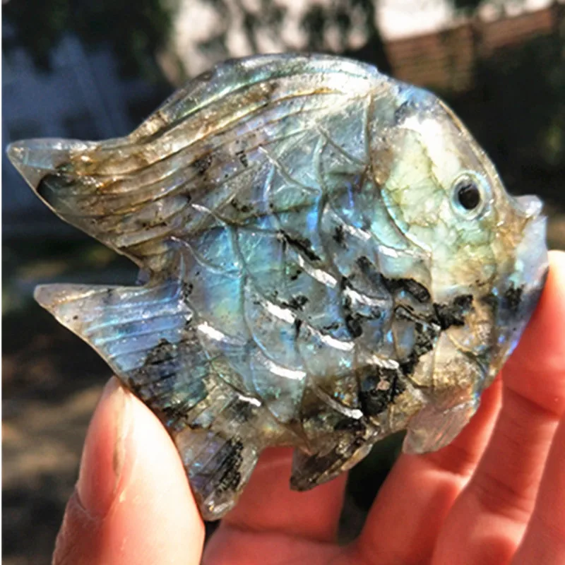 

70mm beautiful tropical fish feng shui decoration natural labradorite mineral specimen free shipping (no polishing)