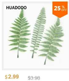 dianxiaobao