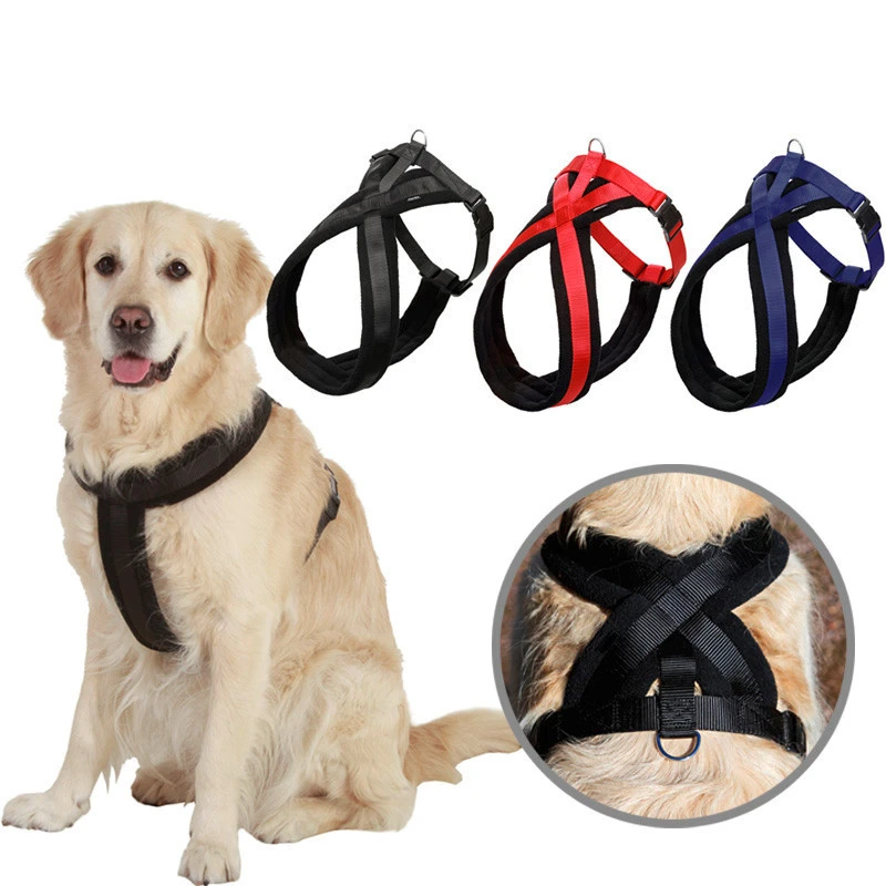 Belt for golden retriever Clearance