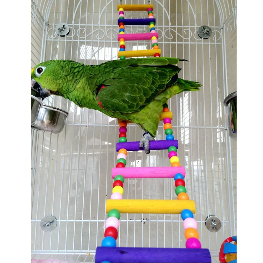Красочная птица качели деревянный мост 8 лазания лестницы Cockatiel длиннохвостый попугай Попугайчик игрушка