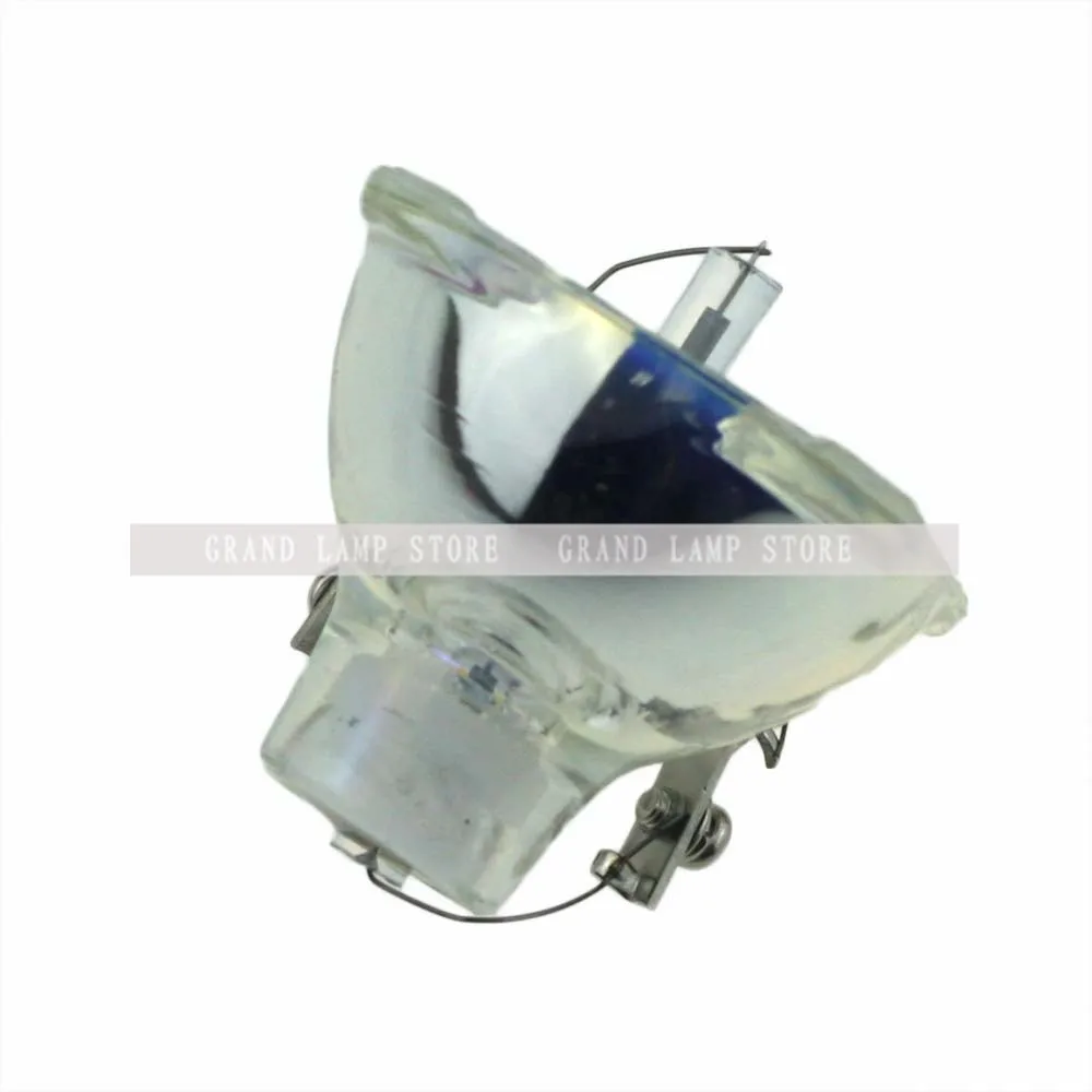 SP-LAMP-003-1