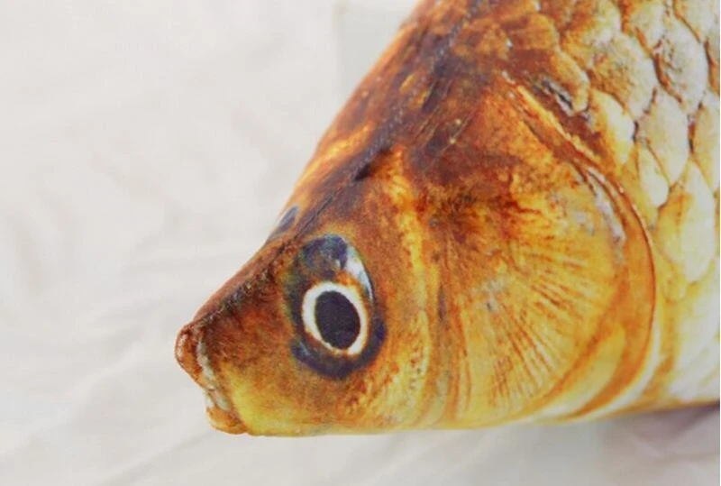 HTB1.zELKVXXXXcQXVXXq6xXFXXXm