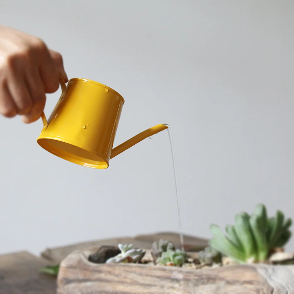 

Mini color small kettle gardening watering can meaty pot watering kettle LM2211403