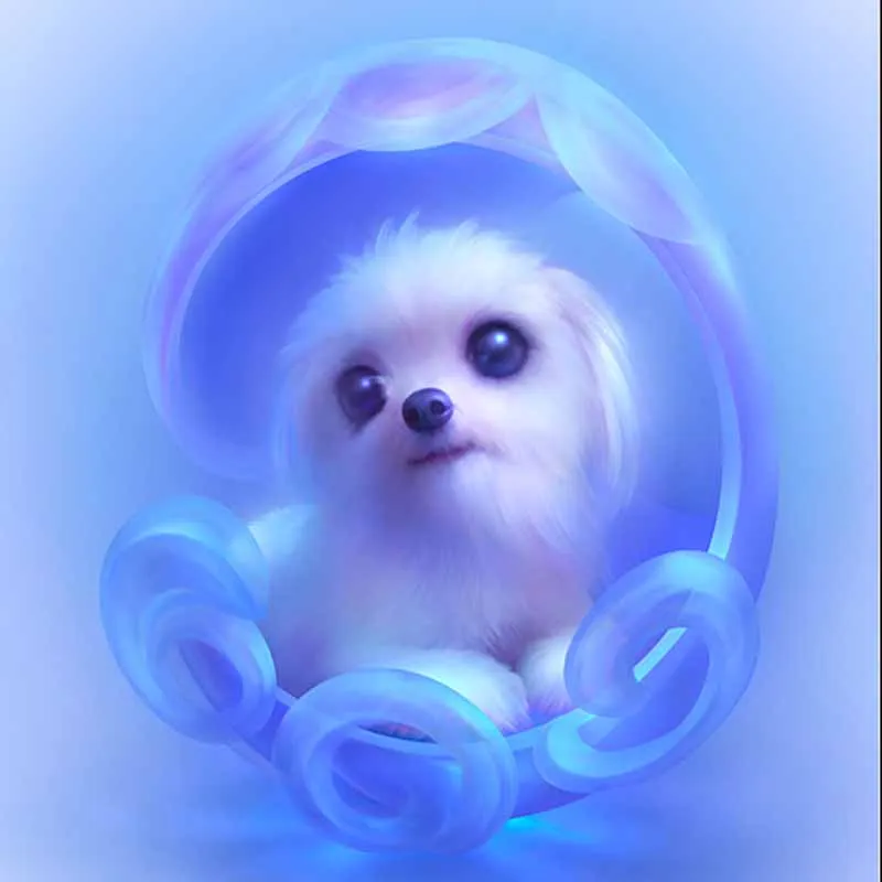 5d diy square animal diamond embroidery kits painting cross stitch mosaic craft cartoon animals decoration for children' room