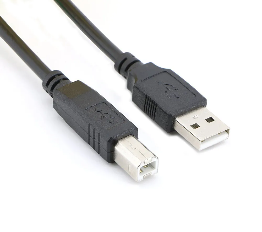 Cable de escáner de impresora USB 2,0 de alta velocidad, Cable tipo A macho  A tipo B macho para HP, Canon, Lexmark, Epson, Dell|Conectores y cables de  ordenador| - AliExpress