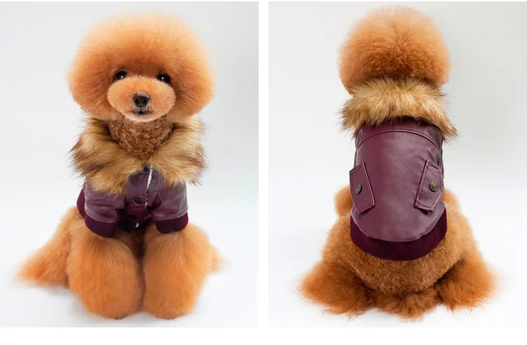 P10_Fashion_Pet_Dog_leather_Jacket_Clothes_Winter_Warm_fur_collar_Teddy_Small_dog_Coat_Chihuahua_Clothing_ (10)