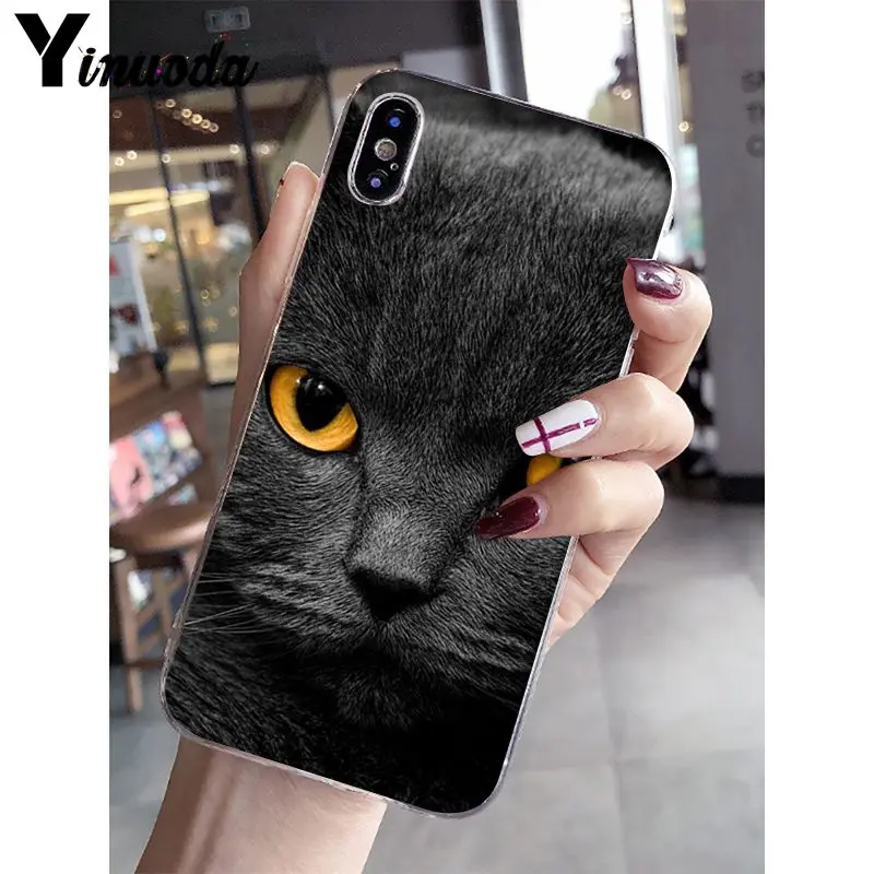 Yinuoda Британский короткошерстный Кот поделка-чехол для телефона для iPhone 5 5Sx 6 7plus 8 8Plus X XS MAX XR Fundas Capa - Цвет: A13