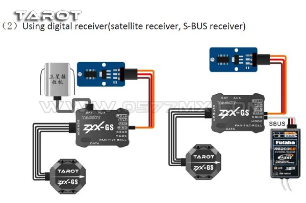 ZYX21-2