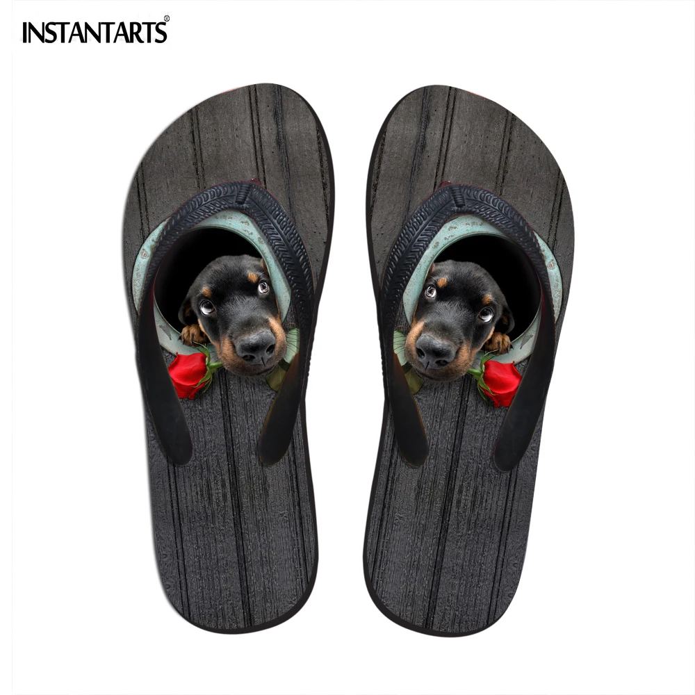 boston terrier slippers